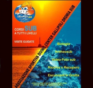  Asociación de deportes subacuáticos e inmersiones guiadas 